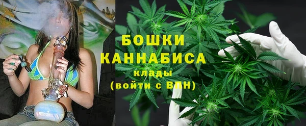 винт Ельня