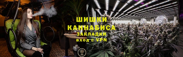 винт Ельня