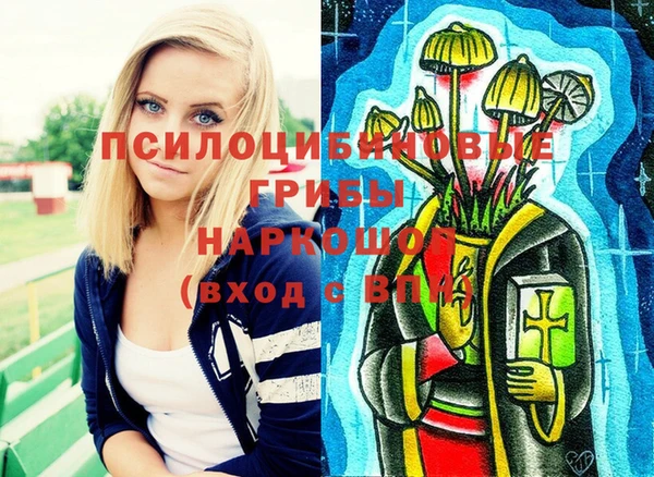 бутират Елабуга