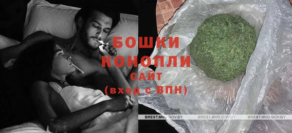 винт Ельня
