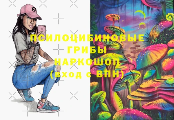бутират Елабуга