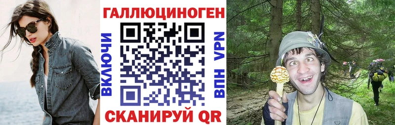 Купить закладки  Кандалакша  Псилоцибиновые грибы Psilocybe 